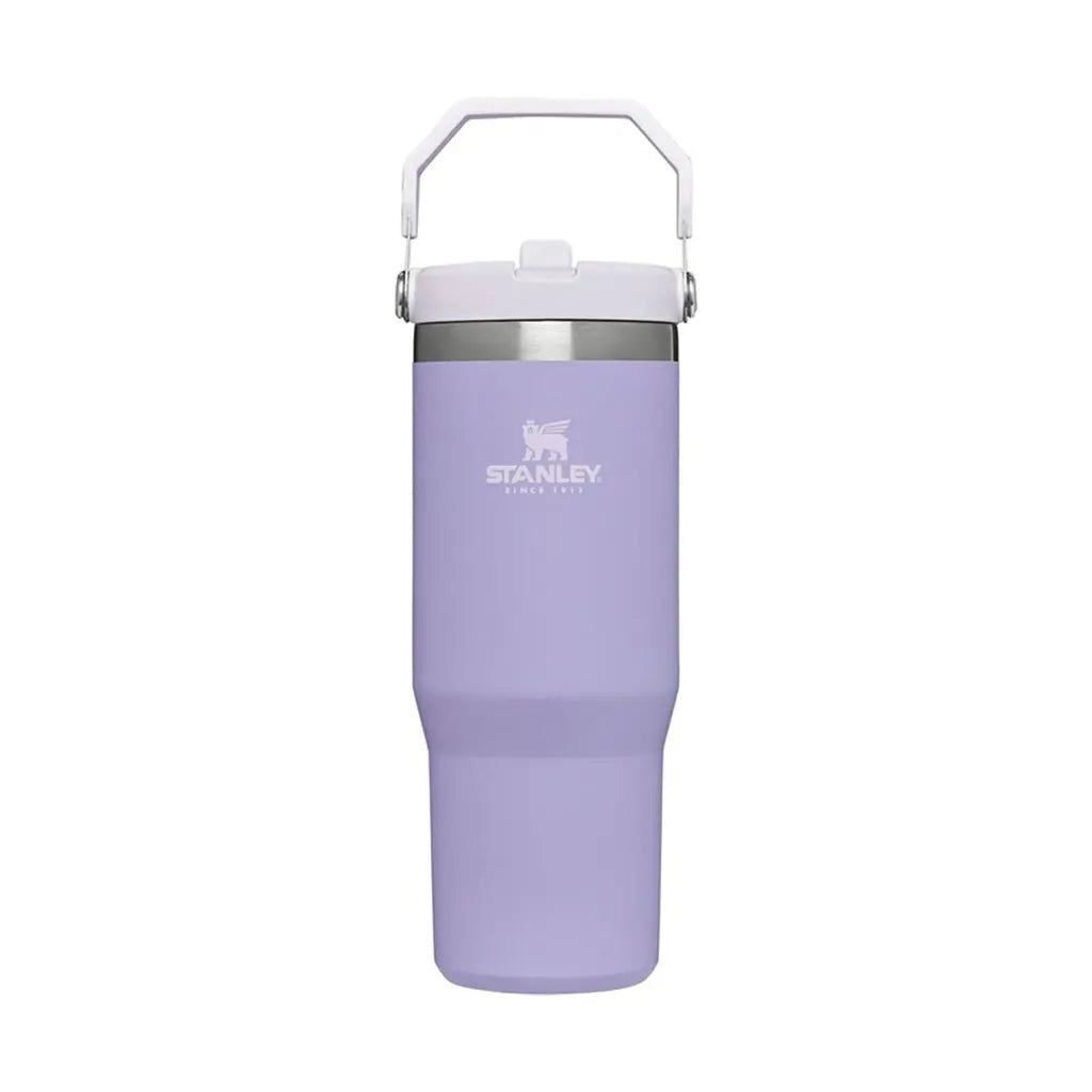 Stanley IceFlow Flip Straw Tumbler
