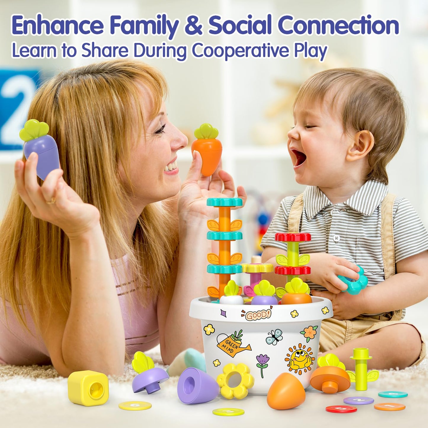 Hola - Explore Potted Plant