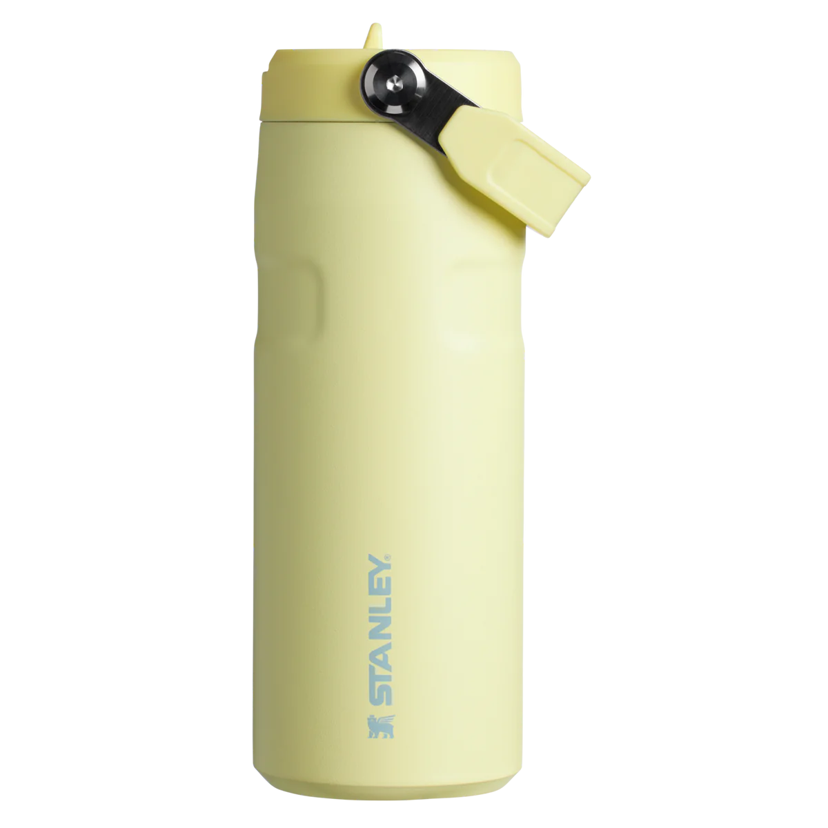 STANLEY - IceFlow™ Bottle with Flip Straw Lid | 16oz