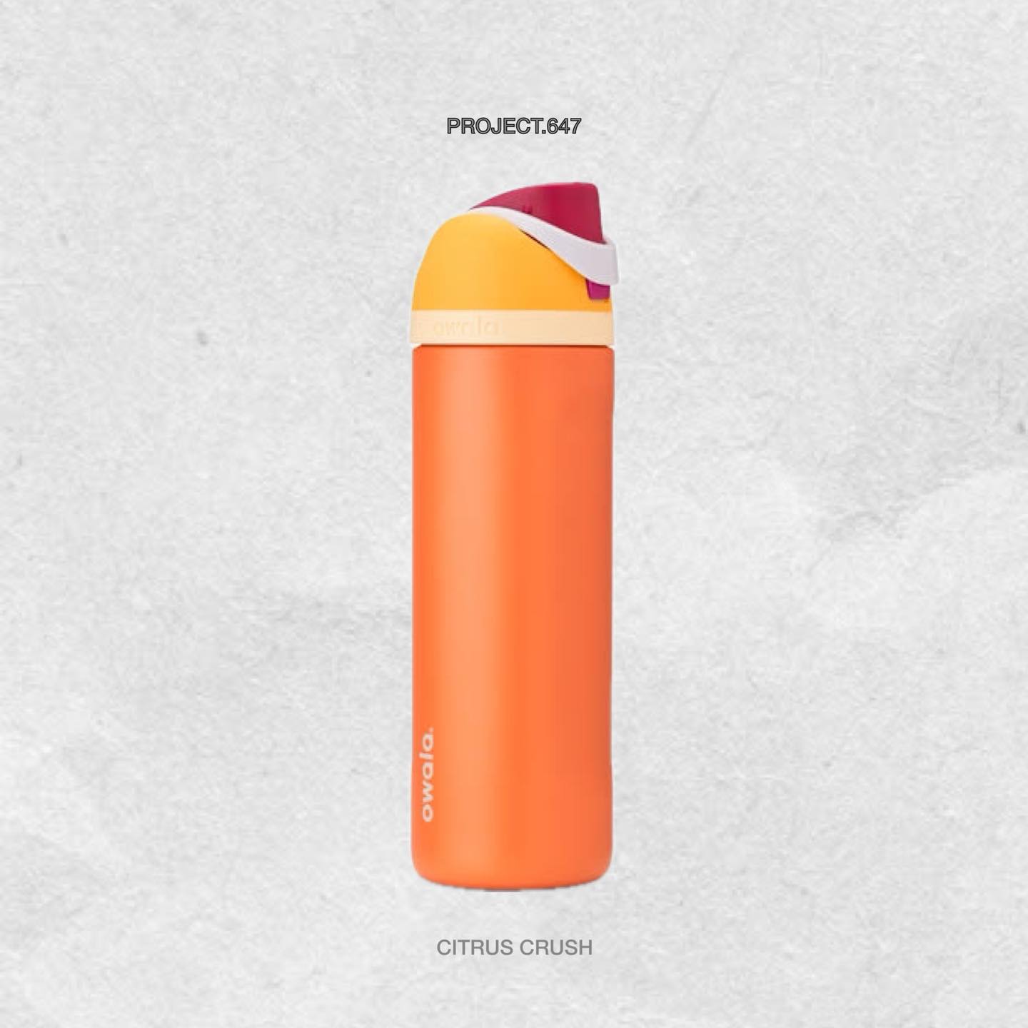 Owala FreeSip - 24oz