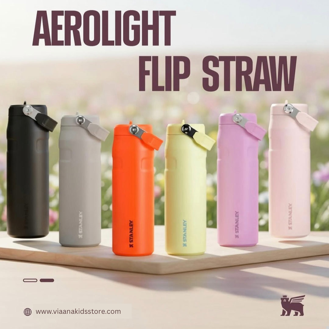 STANLEY - IceFlow™ Bottle with Flip Straw Lid | 16oz