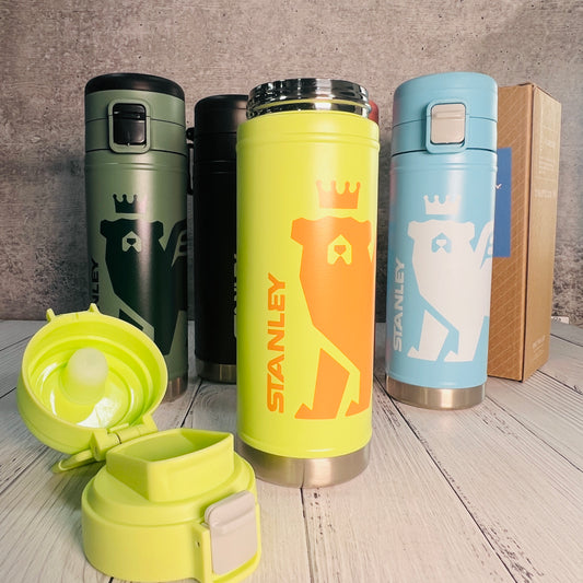 Stanley Flawsteady Bottle | 17oz (1:1 Dupe)