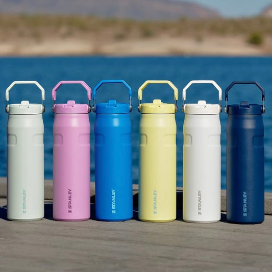 STANLEY - IceFlow™ Bottle with Flip Straw Lid | 16oz