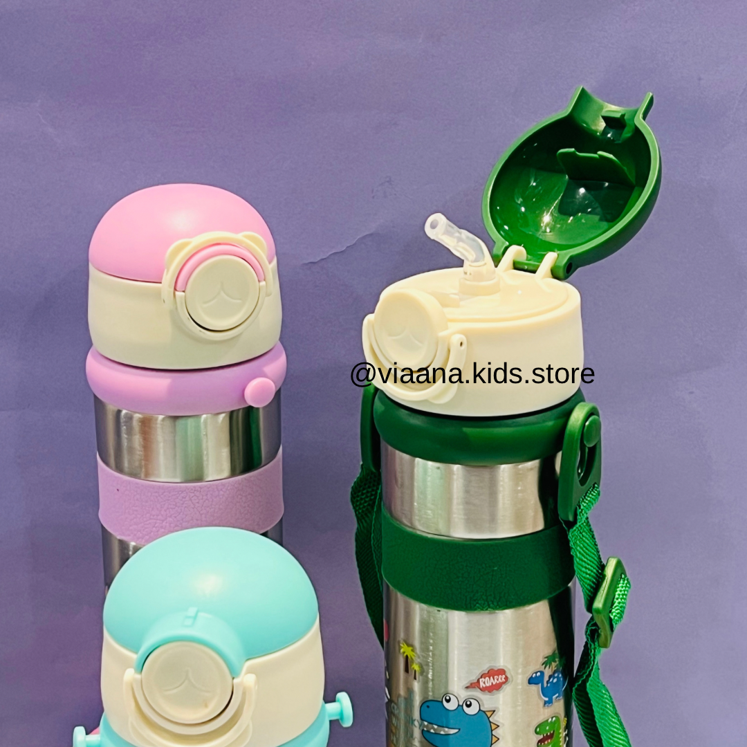 Slim and Stylist - 600ml Insulated Sippers