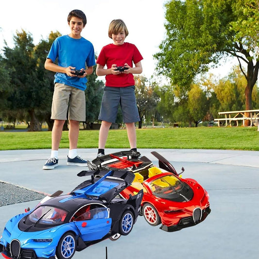 RC Concept Car - 1:14 Metal