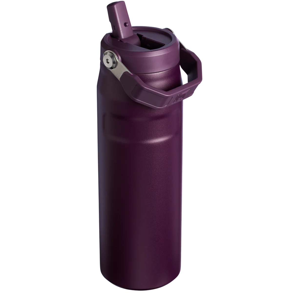 STANLEY - IceFlow™ Bottle with Flip Straw Lid | 16oz