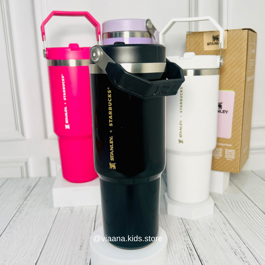 Stanley IceFlow Flip Straw Tumbler