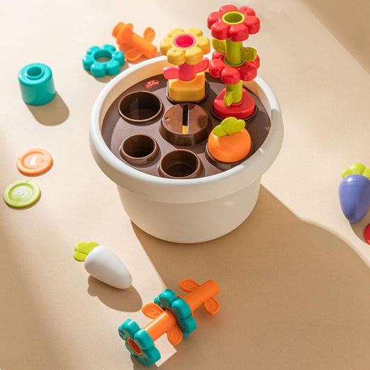 Hola - Explore Potted Plant