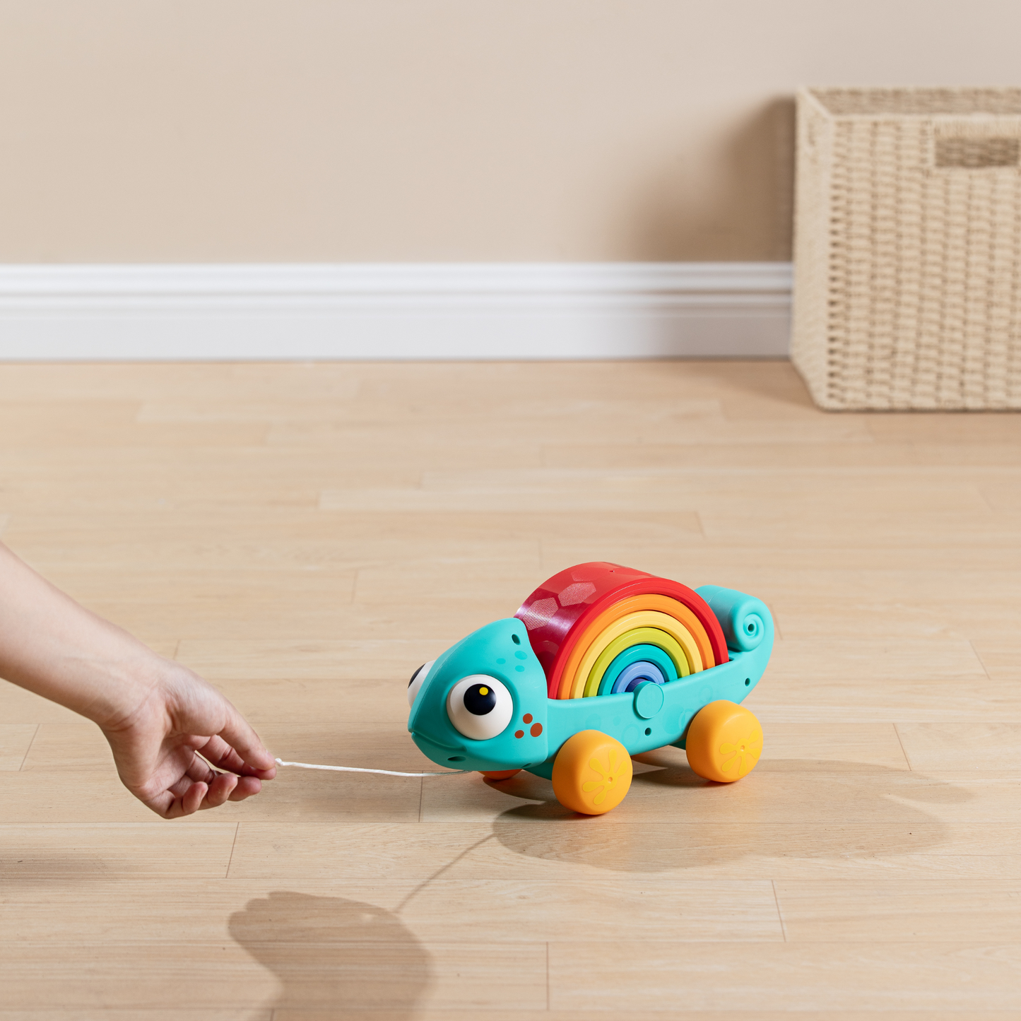 Hola - Rainbow Chameleon