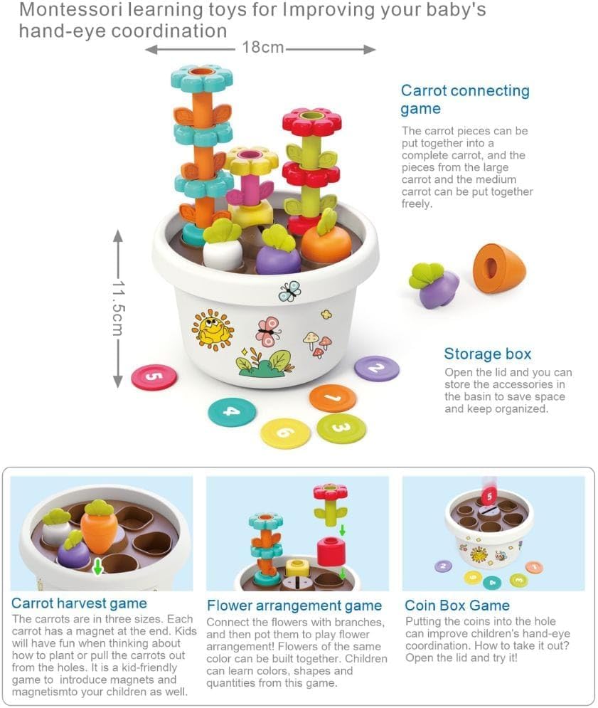 Hola - Explore Potted Plant