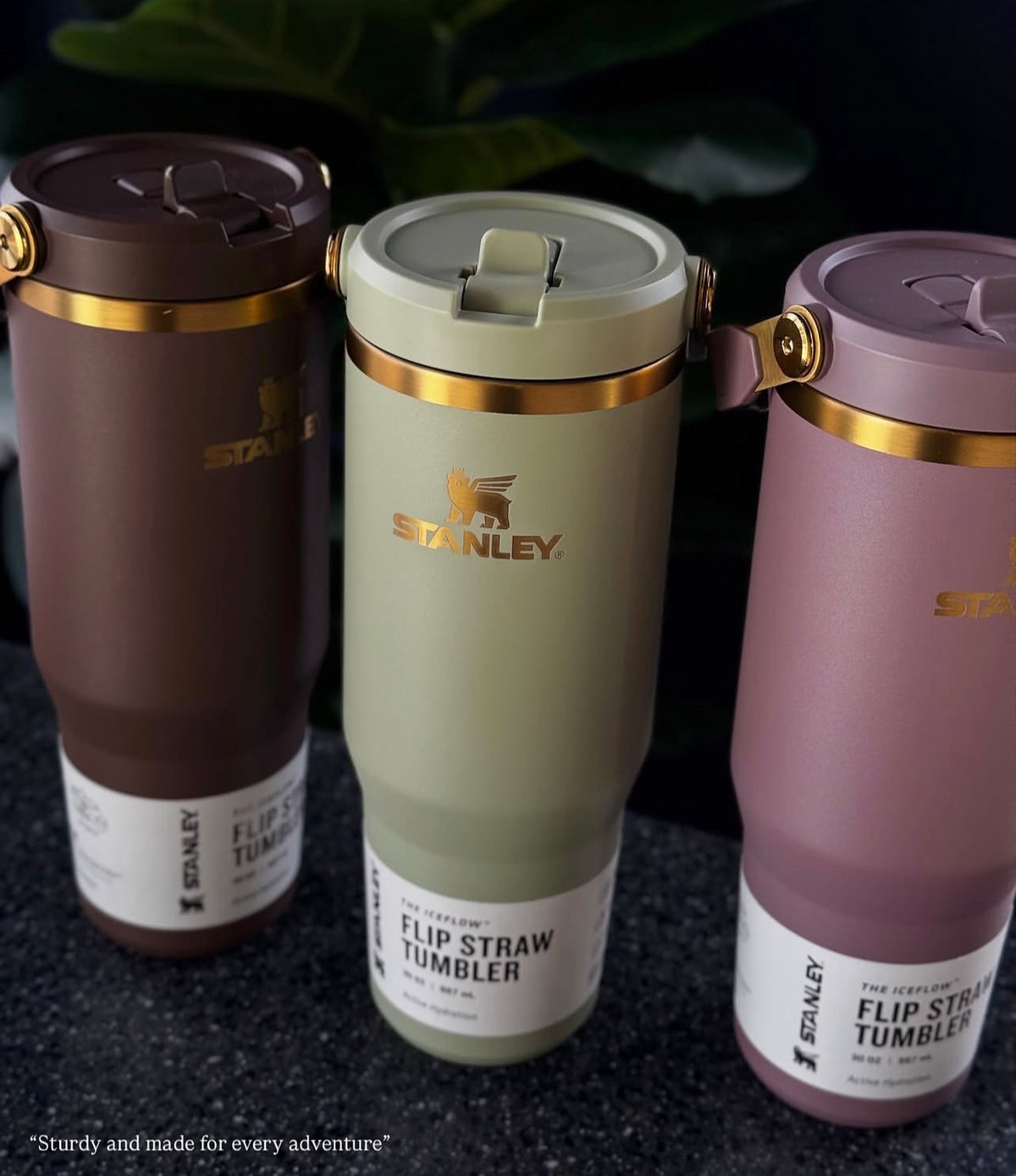 Stanley 1913 IceFlow™ Flip Straw Tumbler | 30oz