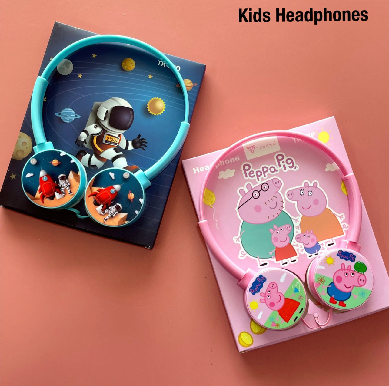 Kids Headphones with AUX Wire