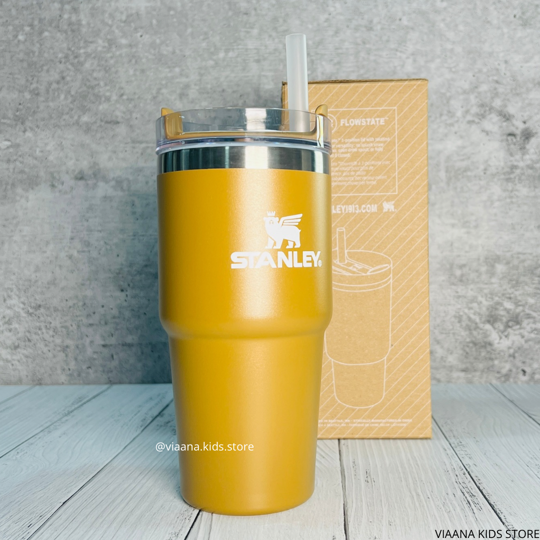 STANLEY - THE QUENCHER H2.0 FLOWSTATE™ TUMBLER | 20 OZ