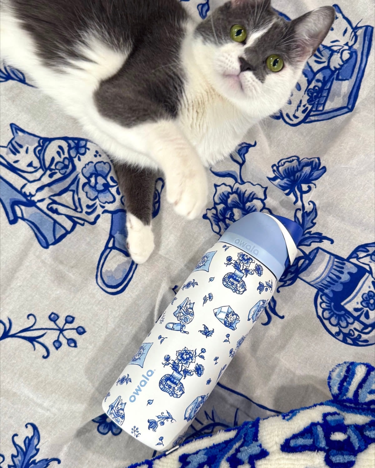 Owala FreeSip - Delft Cat