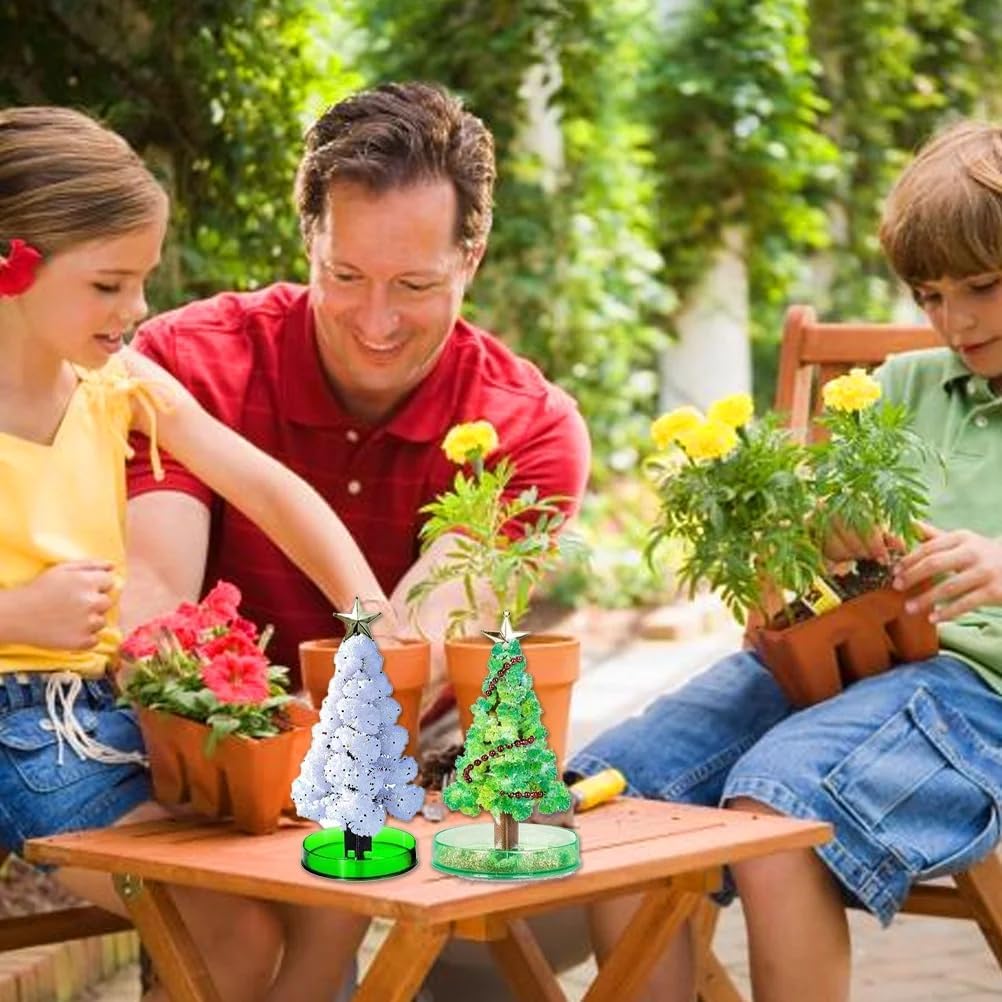 Magic Growing Christmas Tree