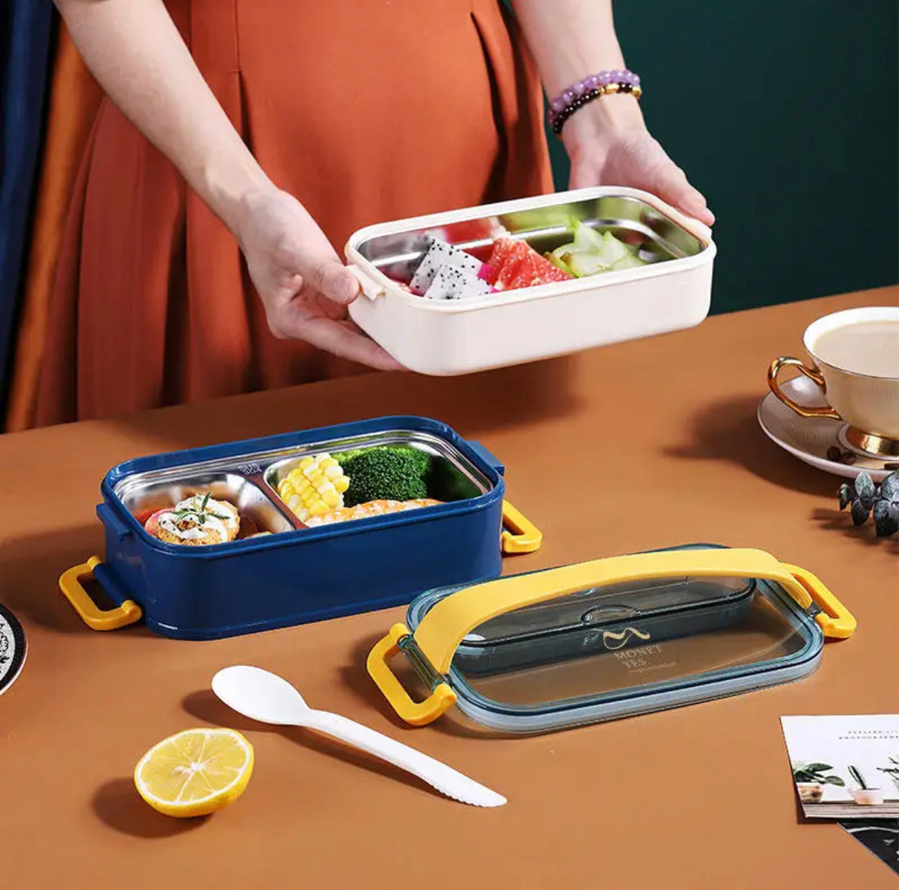 Double Decker Bento Stainless Steel Lunch box with Handle