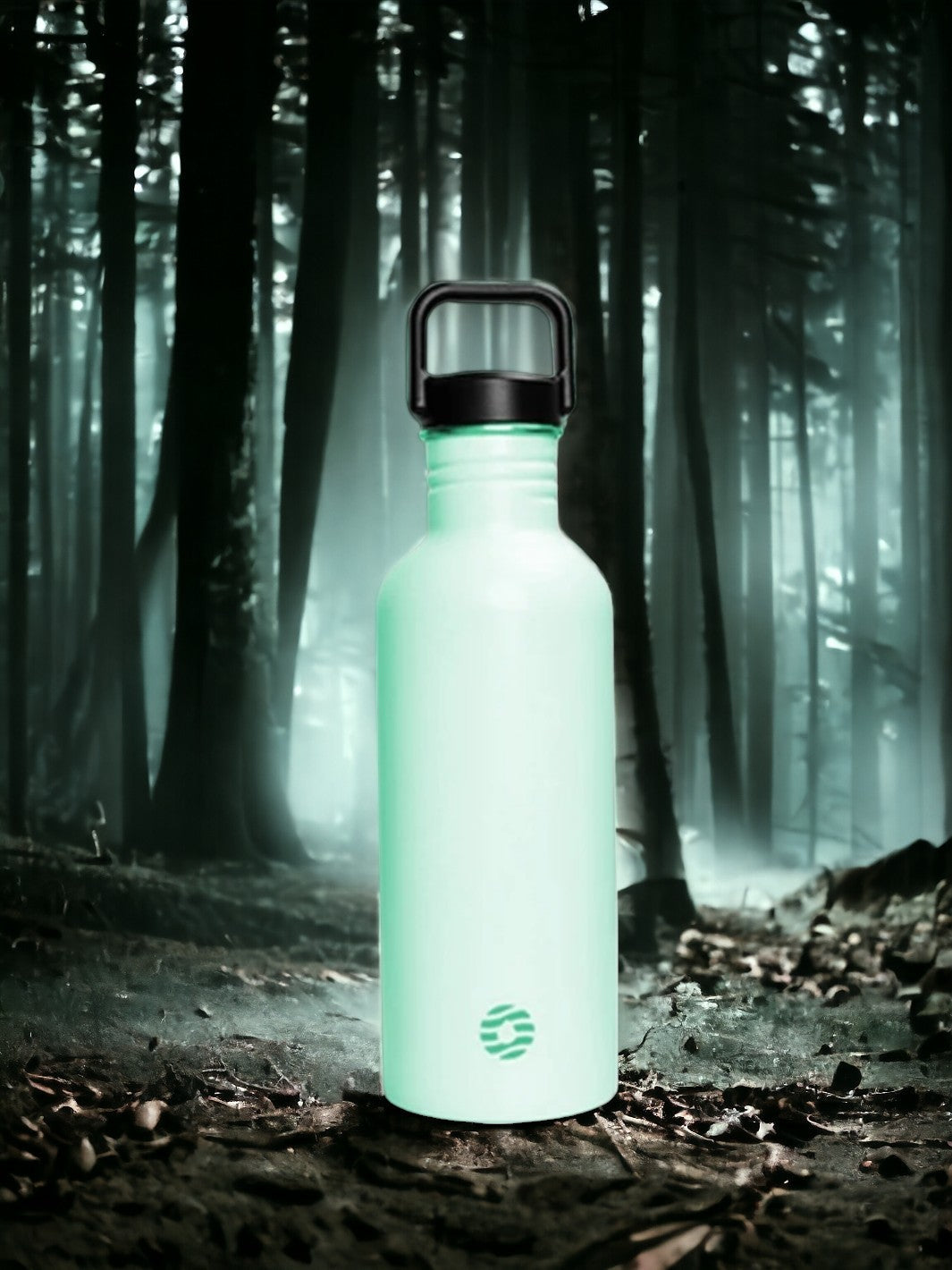 PHOSPHORESCENT STAINLESS STEEL WATER BOTTLE