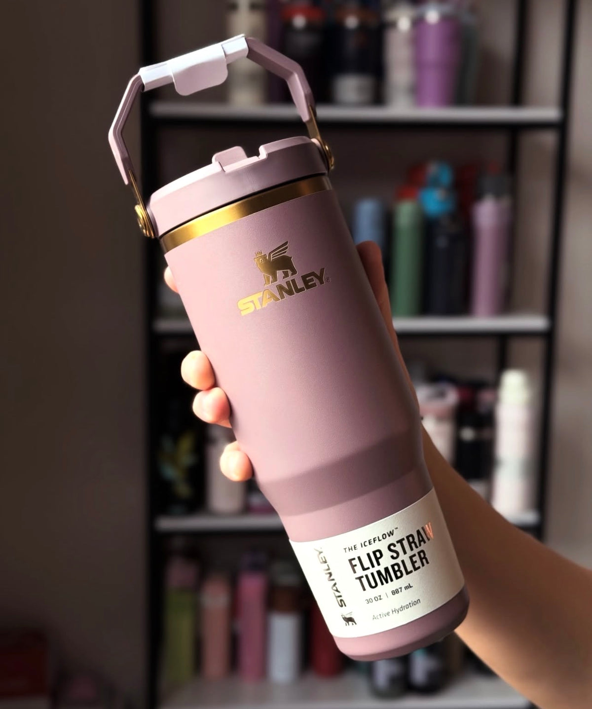 Stanley 1913 IceFlow™ Flip Straw Tumbler | 30oz