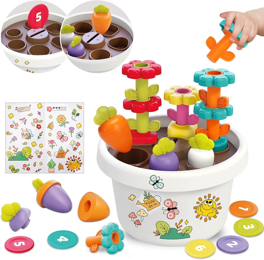 Hola - Explore Potted Plant