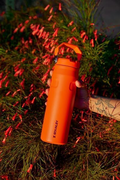 Stanley 24oz | IceFlow™ Bottle with Flip Straw Lid