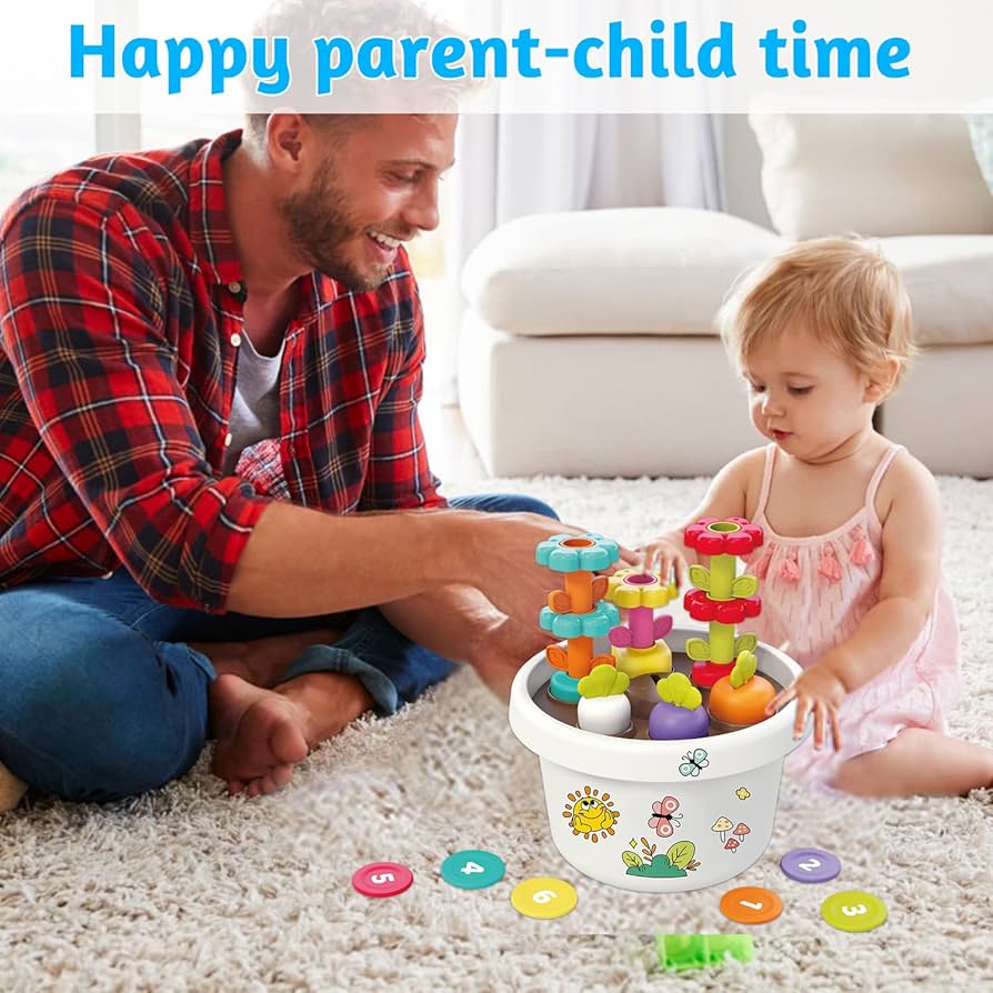 Hola - Explore Potted Plant