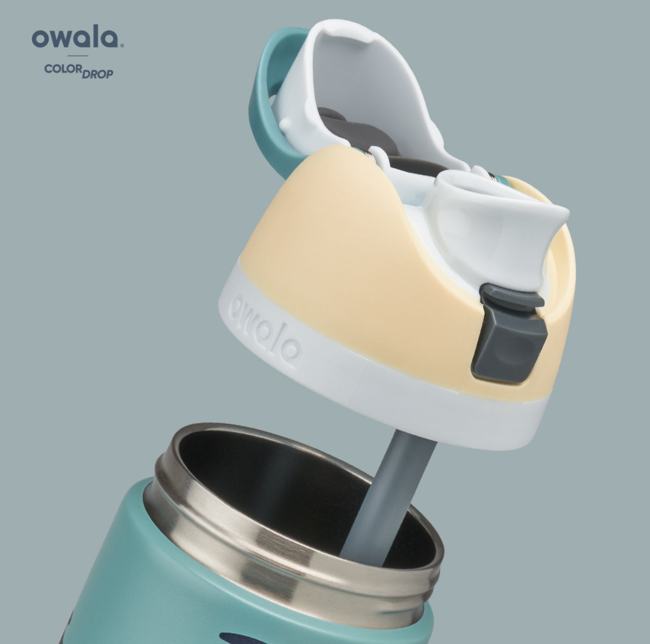 Owala ColorDrop Prints - 24oz