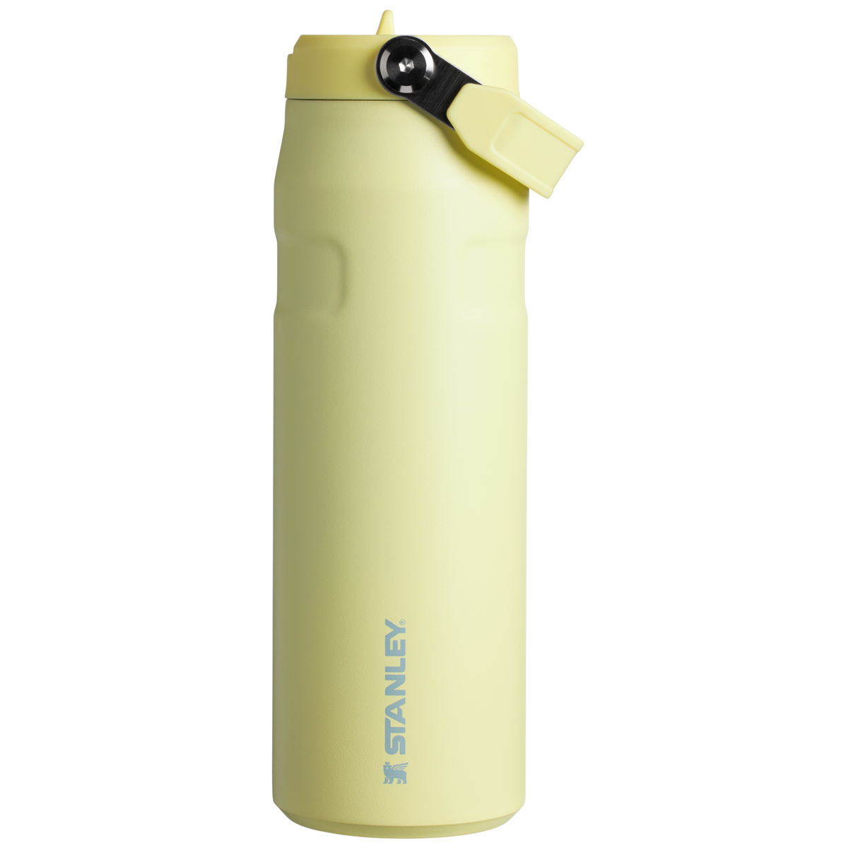 Stanley 24oz | IceFlow™ Bottle with Flip Straw Lid