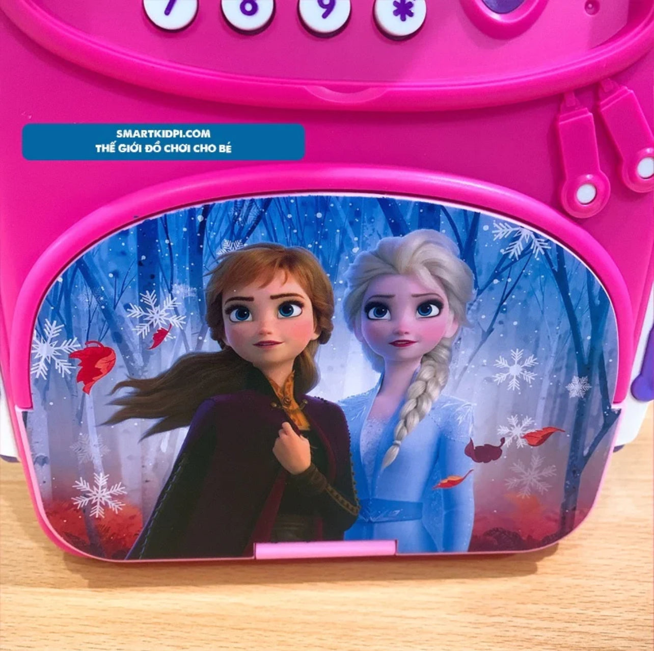 Frozen sale piggy bank