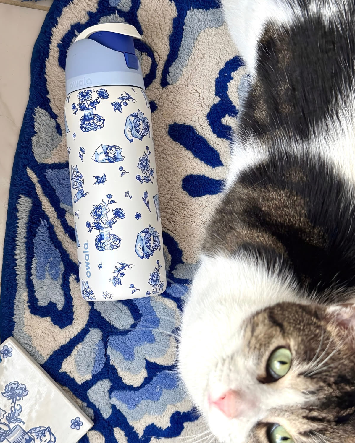 Owala FreeSip - Delft Cat