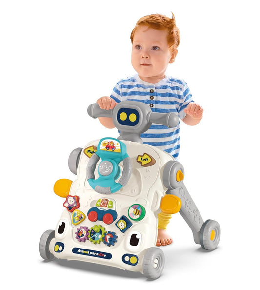 Activity Walker - 3 in 1