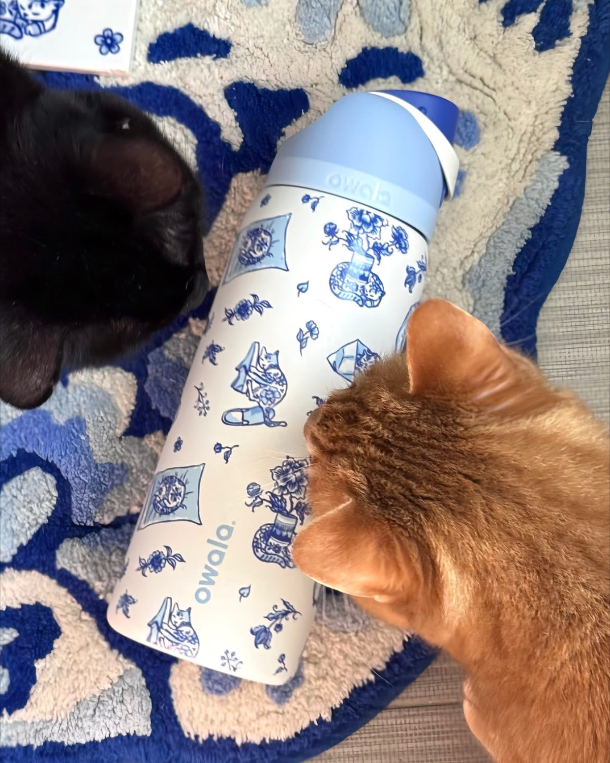 Owala FreeSip - Delft Cat