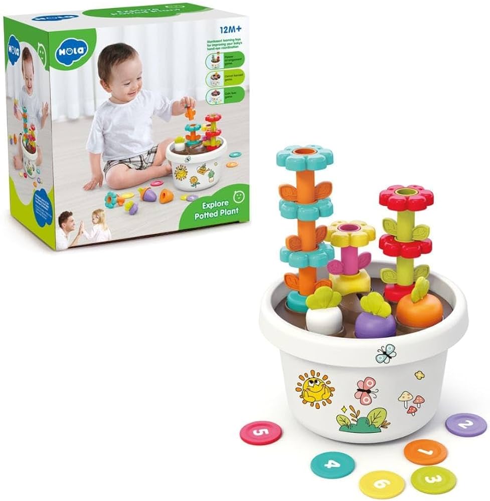 Hola - Explore Potted Plant