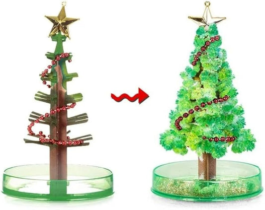 Magic Growing Christmas Tree
