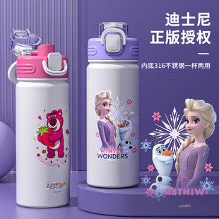 Disney Steel Bottles - 500ml | Hot-Cold