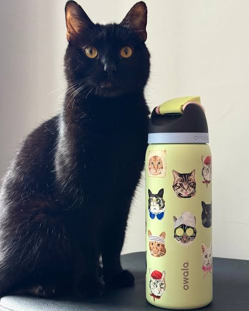 Owala ColorDrop Prints - 24oz