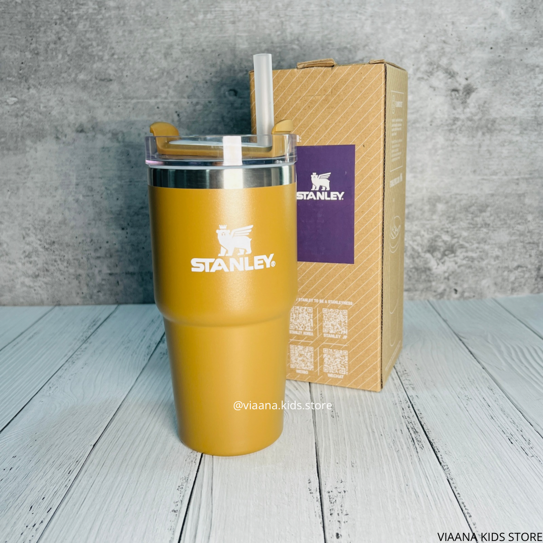 STANLEY - THE QUENCHER H2.0 FLOWSTATE™ TUMBLER | 20 OZ