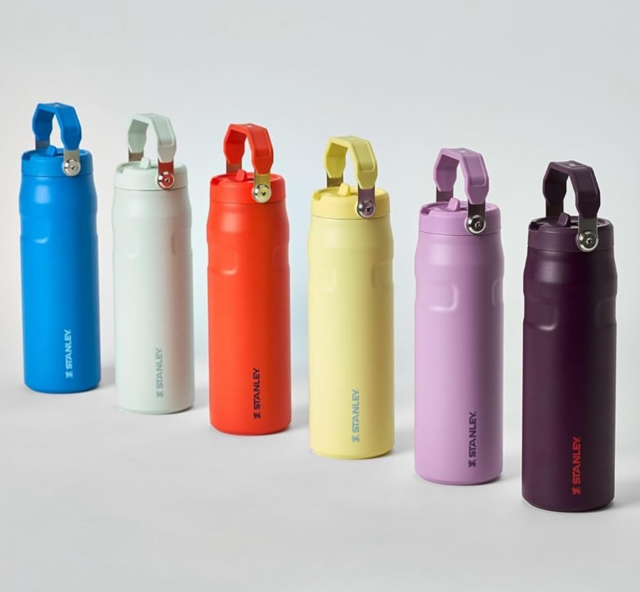 STANLEY - IceFlow™ Bottle with Flip Straw Lid | 16oz